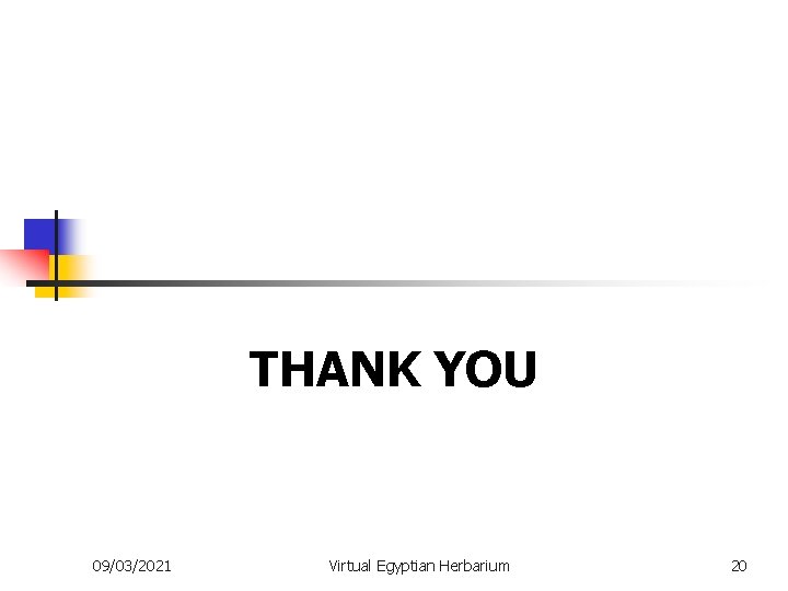 THANK YOU 09/03/2021 Virtual Egyptian Herbarium 20 
