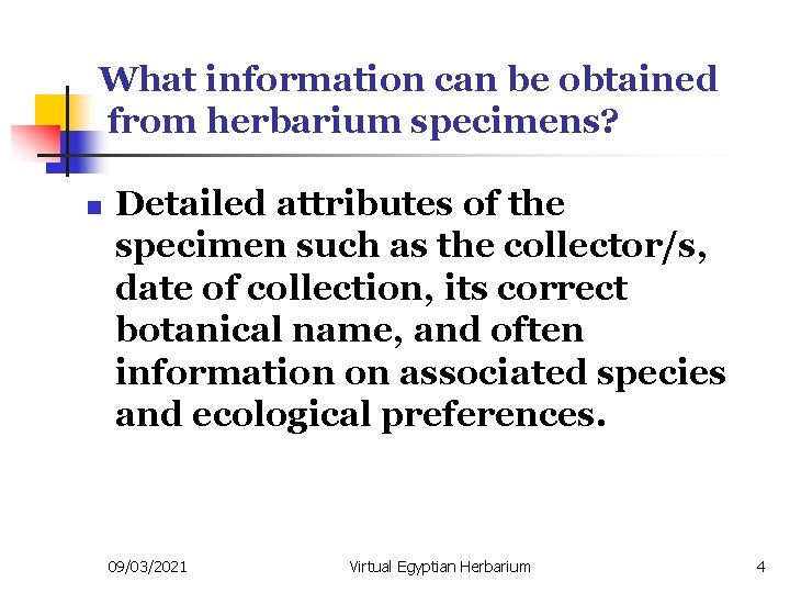 What information can be obtained from herbarium specimens? n Detailed attributes of the specimen