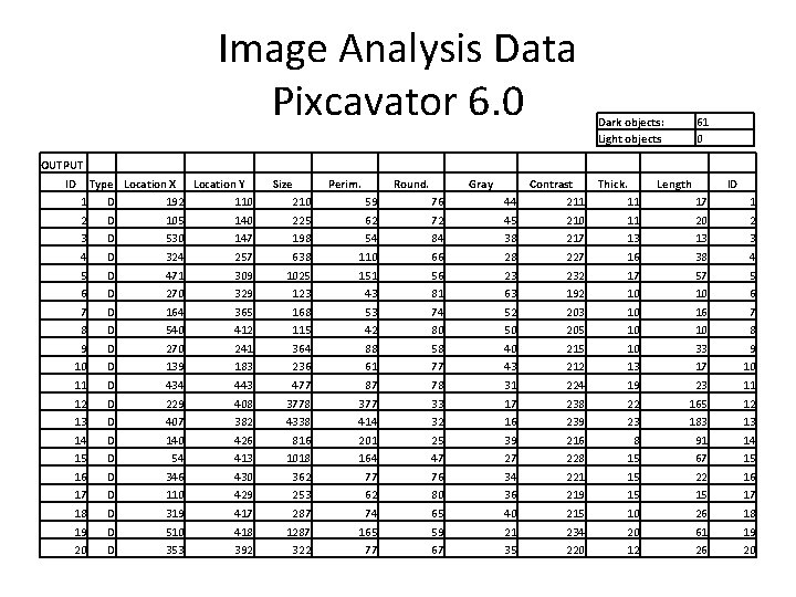 Image Analysis Data Pixcavator 6. 0 Dark objects: Light objects 61 0 OUTPUT ID