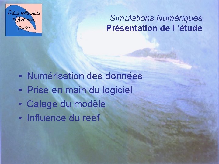 Simulations Numériques Présentation de l ’étude • • Numérisation des données Prise en main