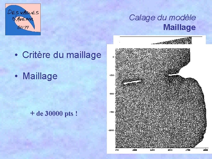 Calage du modèle Maillage • Critère du maillage • Maillage + de 30000 pts