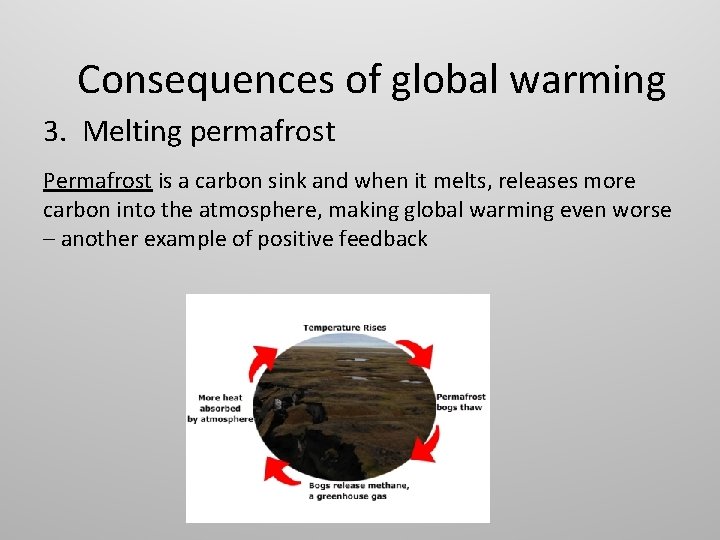 Consequences of global warming 3. Melting permafrost Permafrost is a carbon sink and when