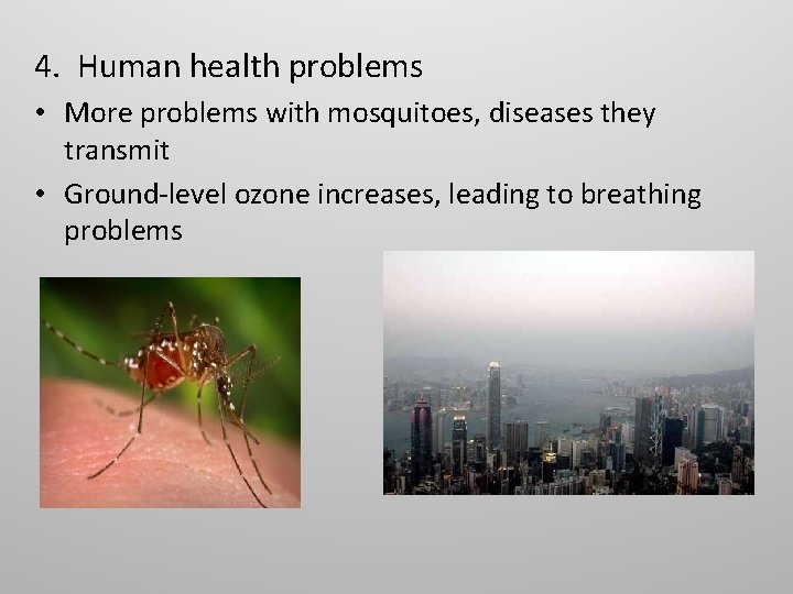 4. Human health problems • More problems with mosquitoes, diseases they transmit • Ground-level
