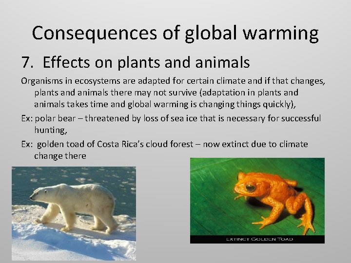 Consequences of global warming 7. Effects on plants and animals Organisms in ecosystems are