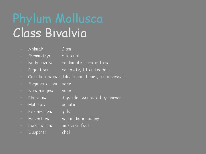 Phylum Mollusca Class Bivalvia • Animal: Clam • Symmetry: bilateral • Body cavity: coelomate