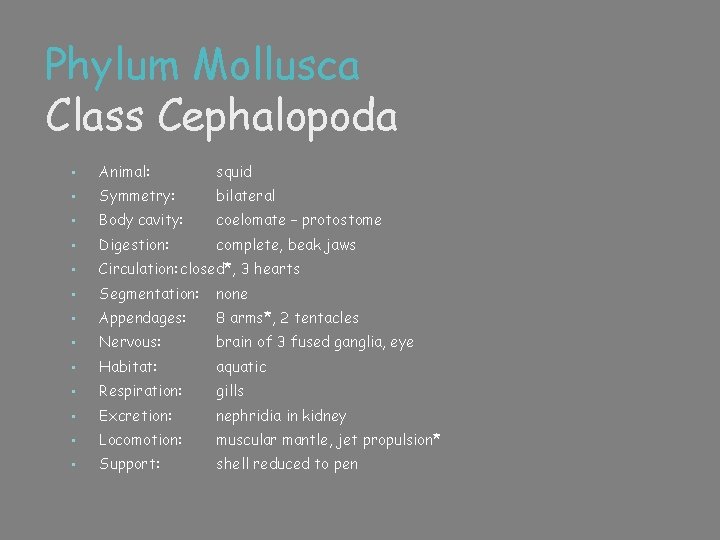 Phylum Mollusca Class Cephalopoda • Animal: squid • Symmetry: bilateral • Body cavity: coelomate
