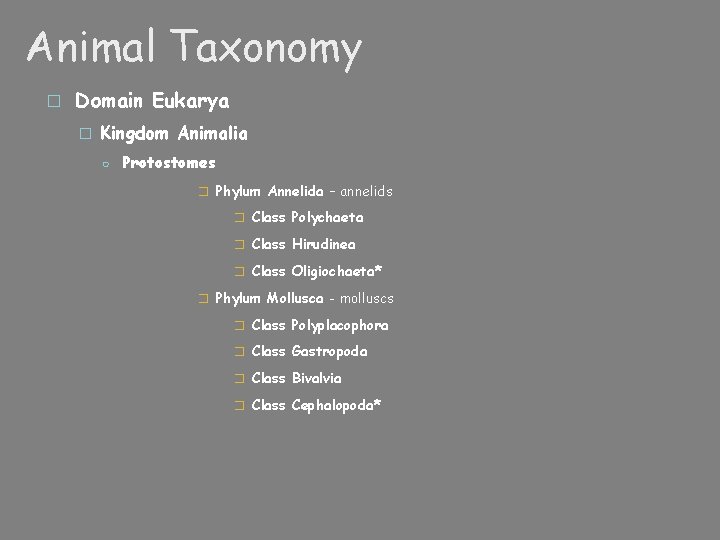 Animal Taxonomy � Domain Eukarya � Kingdom Animalia ○ Protostomes � Phylum Annelida –