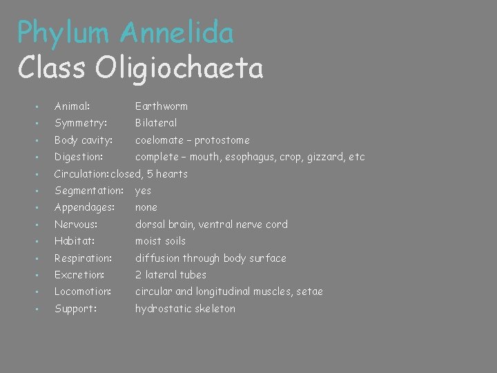 Phylum Annelida Class Oligiochaeta • Animal: Earthworm • Symmetry: Bilateral • Body cavity: coelomate