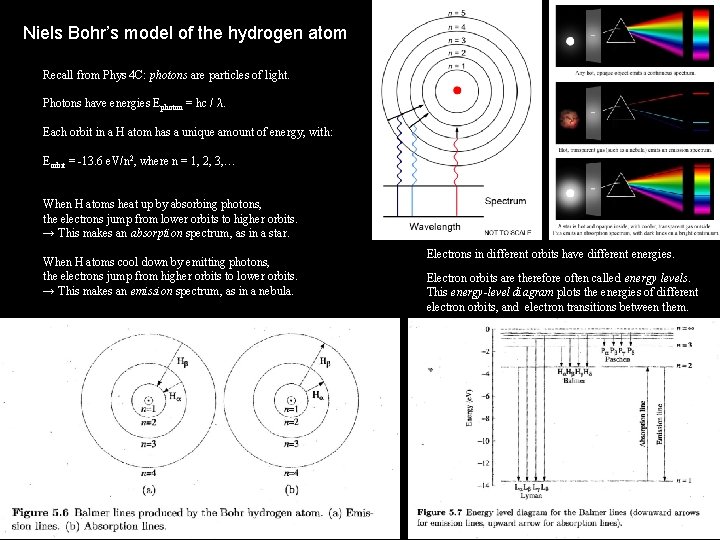 Niels Bohr’s model of the hydrogen atom Recall from Phys 4 C: photons are