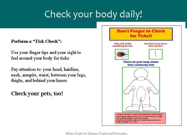 Check your body daily! Perform a “Tick Check”: Use your finger tips and your