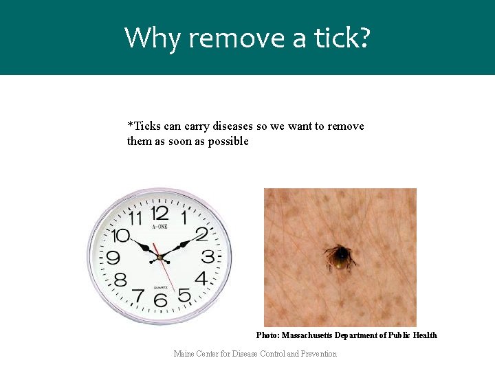 Why remove a tick? *Ticks can carry diseases so we want to remove them