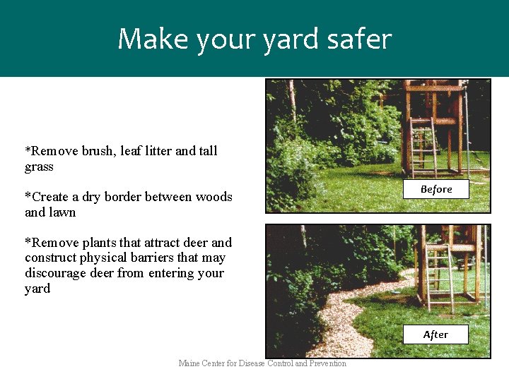 Make your yard safer *Remove brush, leaf litter and tall grass *Create a dry