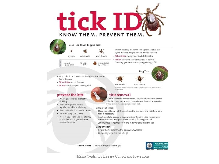 Maine Center for Disease Control and Prevention 