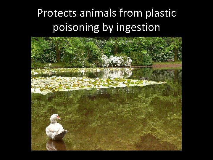 Protects animals from plastic poisoning by ingestion 