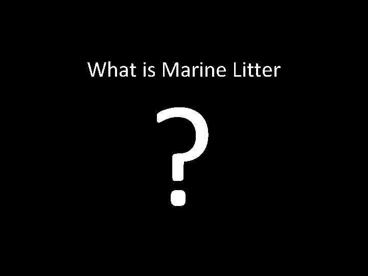 What is Marine Litter ? 