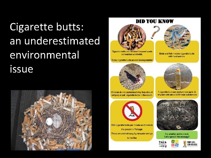 Cigarette butts: an underestimated environmental issue 