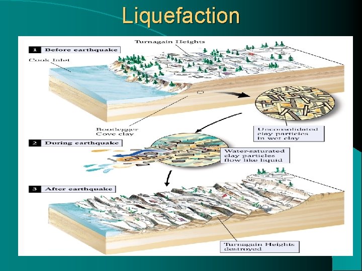 Liquefaction 