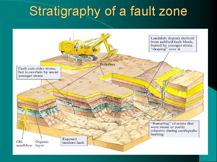 Stratigraphy of a fault zone 