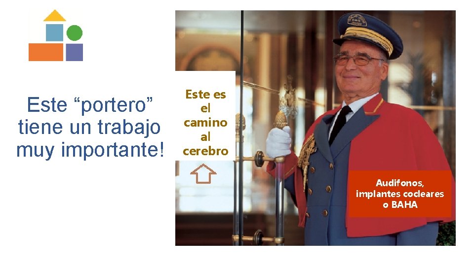 Este “portero” tiene un trabajo muy importante! Este es el camino al cerebro Audifonos,
