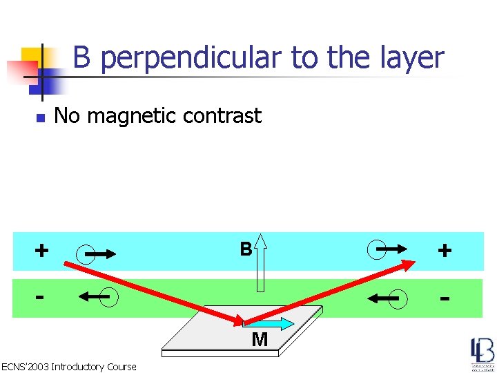 B perpendicular to the layer n No magnetic contrast + B - M ECNS’