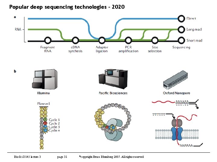Popular deep sequencing technologies - 2020 Bio. Sci D 145 lecture 3 page 31