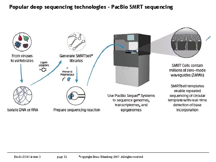 Popular deep sequencing technologies – Pac. Bio SMRT sequencing Bio. Sci D 145 lecture