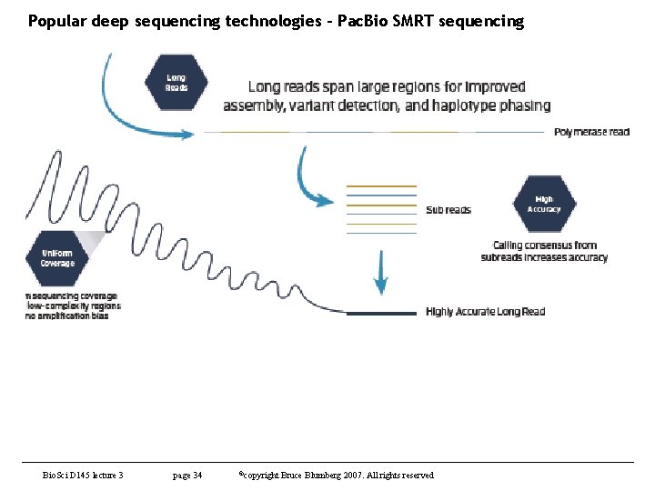 Popular deep sequencing technologies – Pac. Bio SMRT sequencing Bio. Sci D 145 lecture