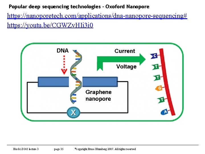 Popular deep sequencing technologies – Oxoford Nanopore https: //nanoporetech. com/applications/dna-nanopore-sequencing# https: //youtu. be/CGWZv. HIi