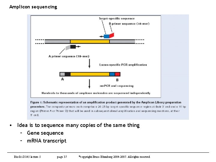 Amplicon sequencing • Idea is to sequence many copies of the same thing –