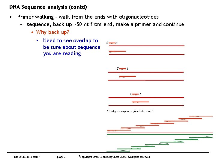 DNA Sequence analysis (contd) • Primer walking - walk from the ends with oligonucleotides