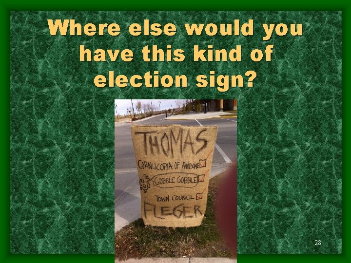 Where else would you have this kind of election sign? 28 
