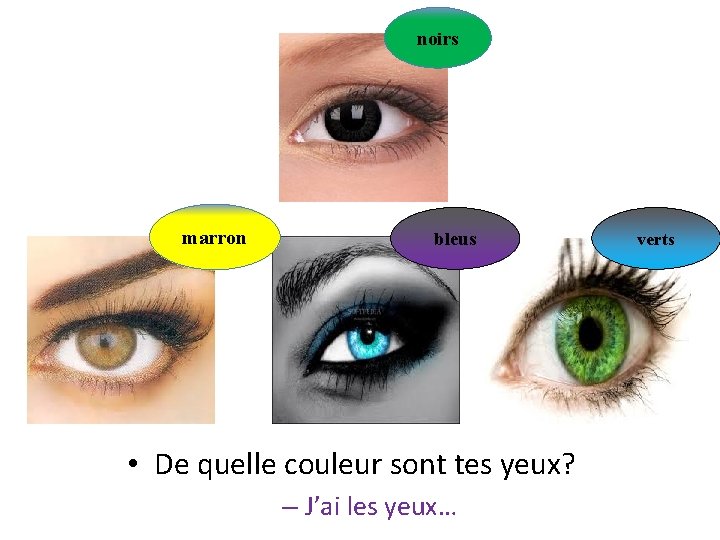 noirs marron bleus • De quelle couleur sont tes yeux? – J’ai les yeux…