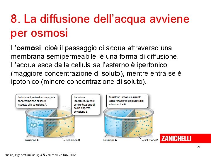 8. La diffusione dell’acqua avviene per osmosi L’osmosi, cioè il passaggio di acqua attraverso