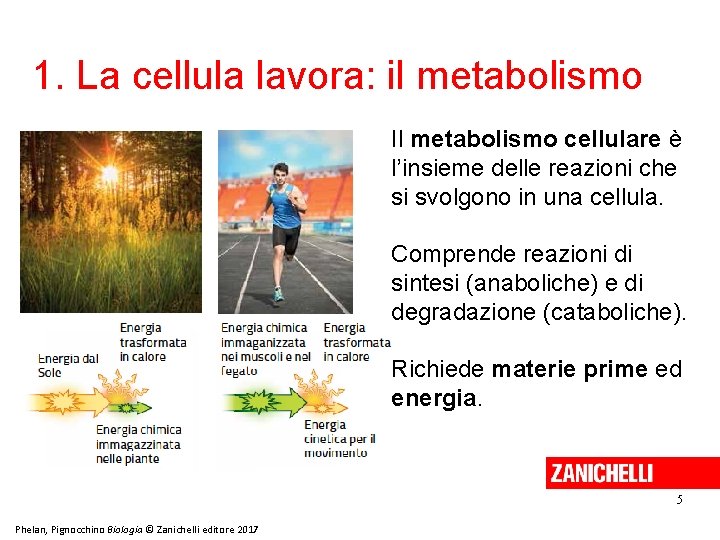 1. La cellula lavora: il metabolismo Il metabolismo cellulare è l’insieme delle reazioni che