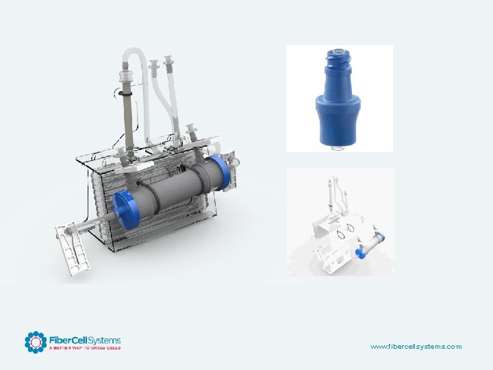 www. fibercellsystems. com 