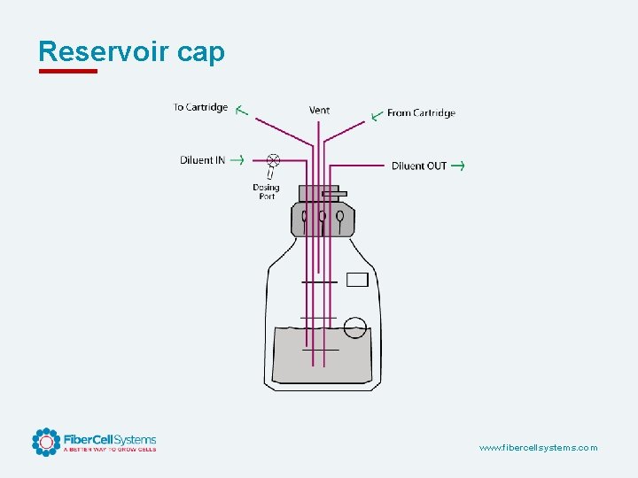 Reservoir cap www. fibercellsystems. com 