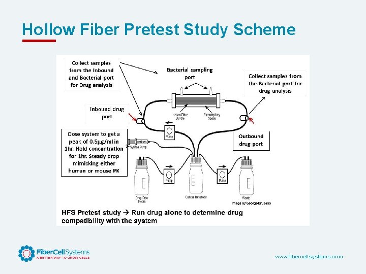 Hollow Fiber Pretest Study Scheme www. fibercellsystems. com 
