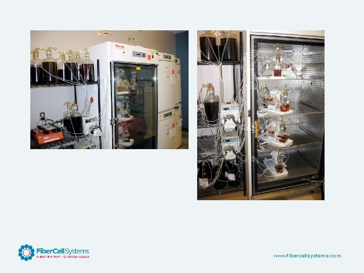 www. fibercellsystems. com 