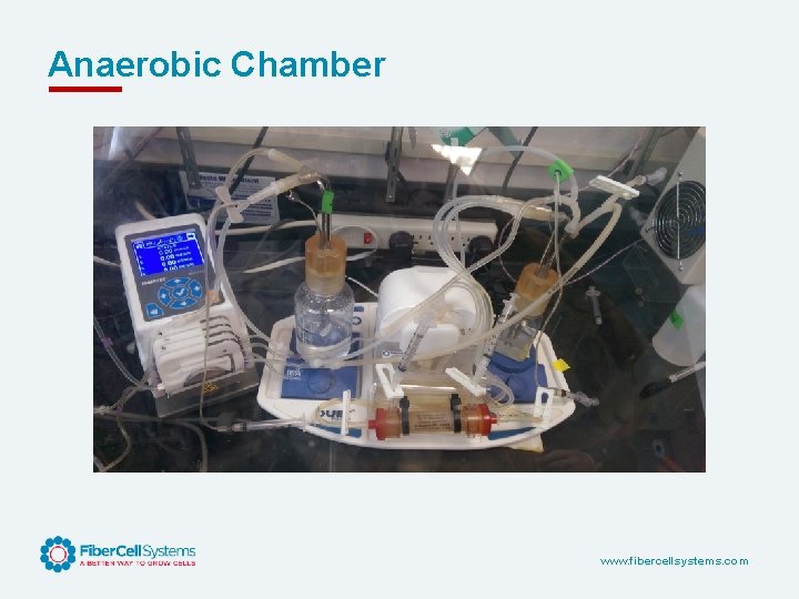 Anaerobic Chamber www. fibercellsystems. com 