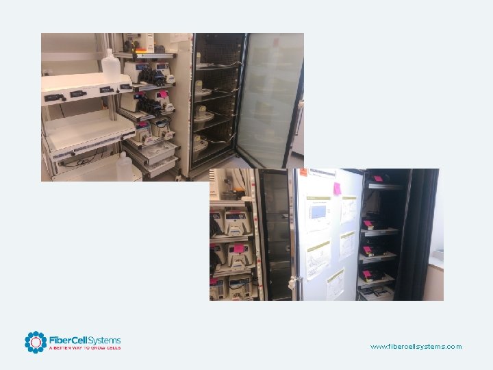 www. fibercellsystems. com 