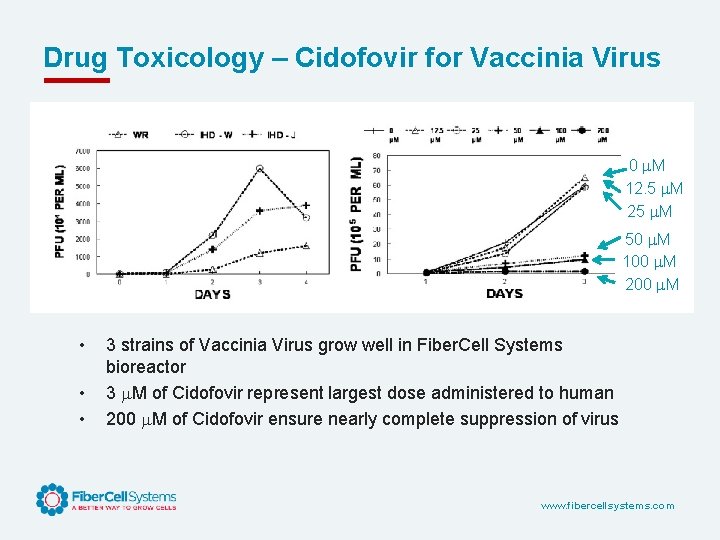 Drug Toxicology – Cidofovir for Vaccinia Virus 0 M 12. 5 M 25 M