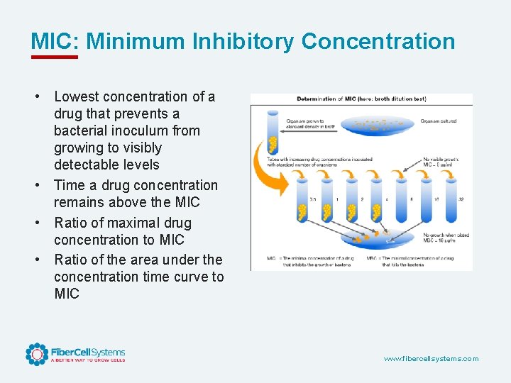 MIC: Minimum Inhibitory Concentration • Lowest concentration of a drug that prevents a bacterial