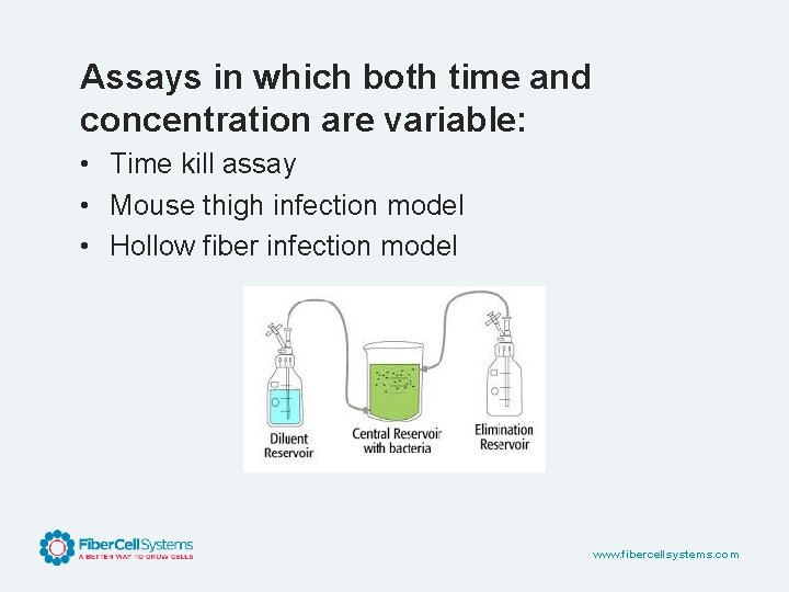 Assays in which both time and concentration are variable: • Time kill assay •
