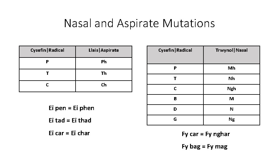 Nasal and Aspirate Mutations Cysefin|Radical Llais|Aspirate Cysefin|Radical Trwynol|Nasal P Ph P Mh T Nh