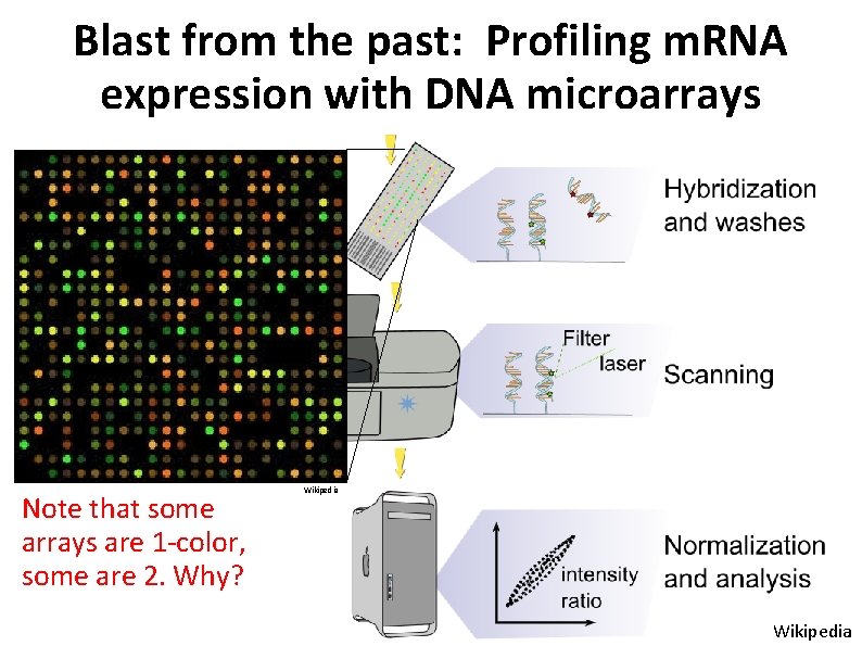 Blast from the past: Profiling m. RNA expression with DNA microarrays Note that some