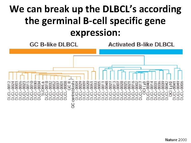 We can break up the DLBCL’s according the germinal B-cell specific gene expression: Nature