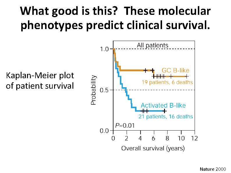 What good is this? These molecular phenotypes predict clinical survival. Kaplan-Meier plot of patient