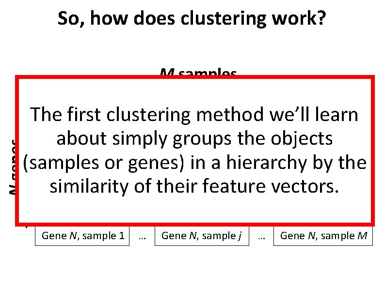 So, how does clustering work? M samples Gene 1, sample 1 Gene 2, sample