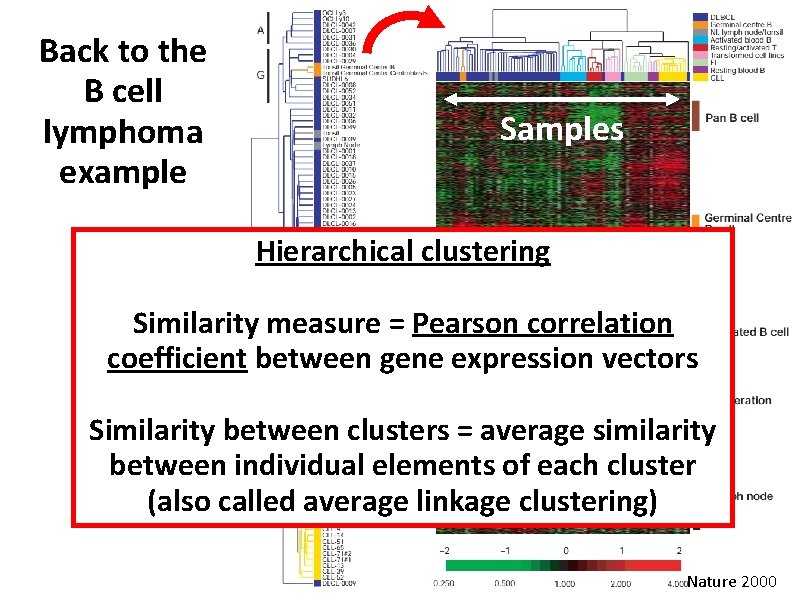 Back to the B cell lymphoma example Samples Genes Hierarchical clustering Similarity measure =