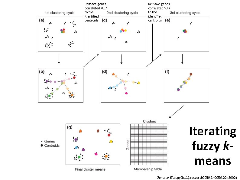 Remove genes correlated >0. 7 to the identified centroids Iterating fuzzy kmeans Genome Biology